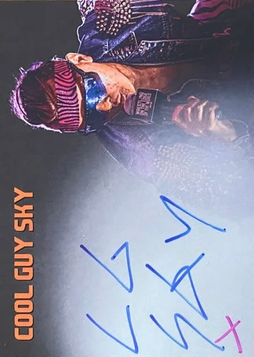 Cool Guy SKY trading card PW Catalog