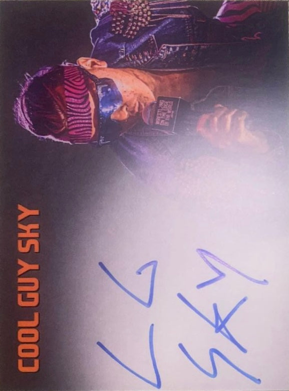 Cool Guy SKY trading card PW Catalog
