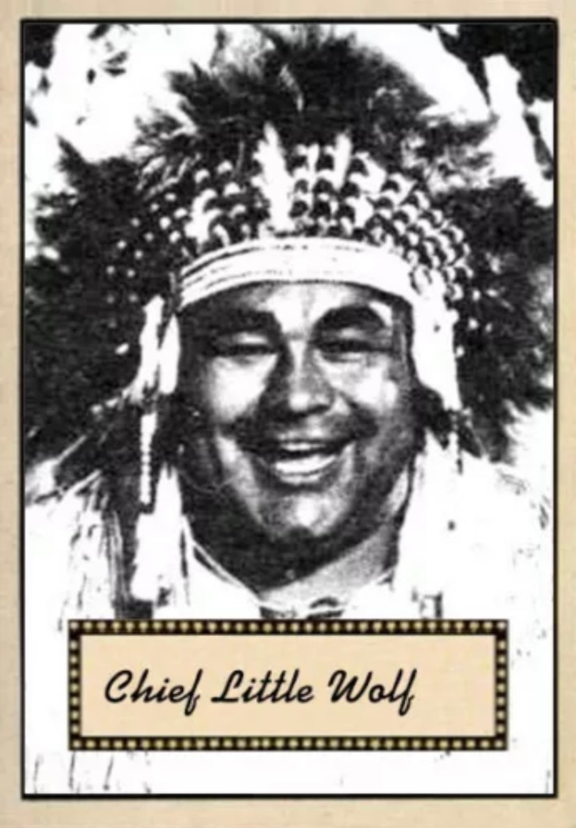 Chief Little Wolf