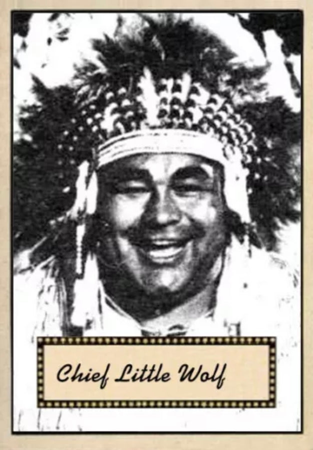 Chief Little Wolf
