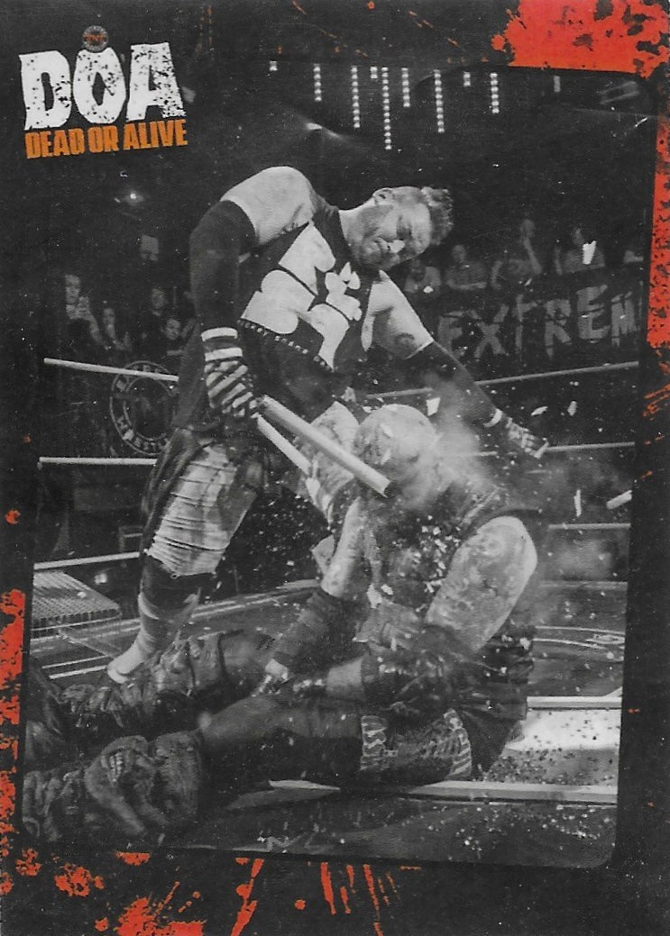 DOA Dead or Alive Ring Action trading card PW Catalog