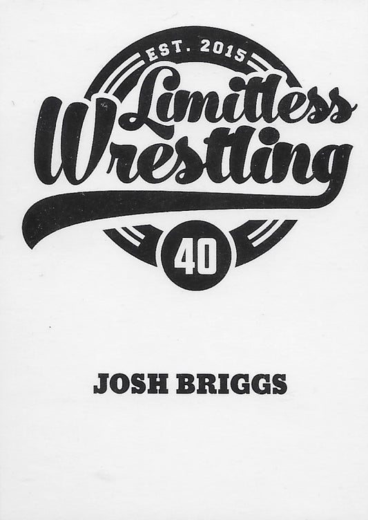 Josh Briggs - image 2