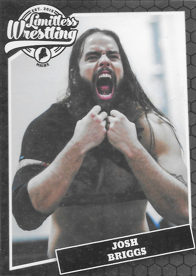Josh Briggs