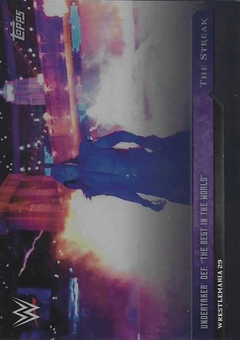 Wrestlemania 29 – Undertaker DEF. “the Best in the World” trading card PW Catalog