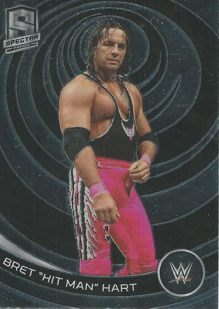 WWF Hasbro Exclusives & Mailaways Bret 