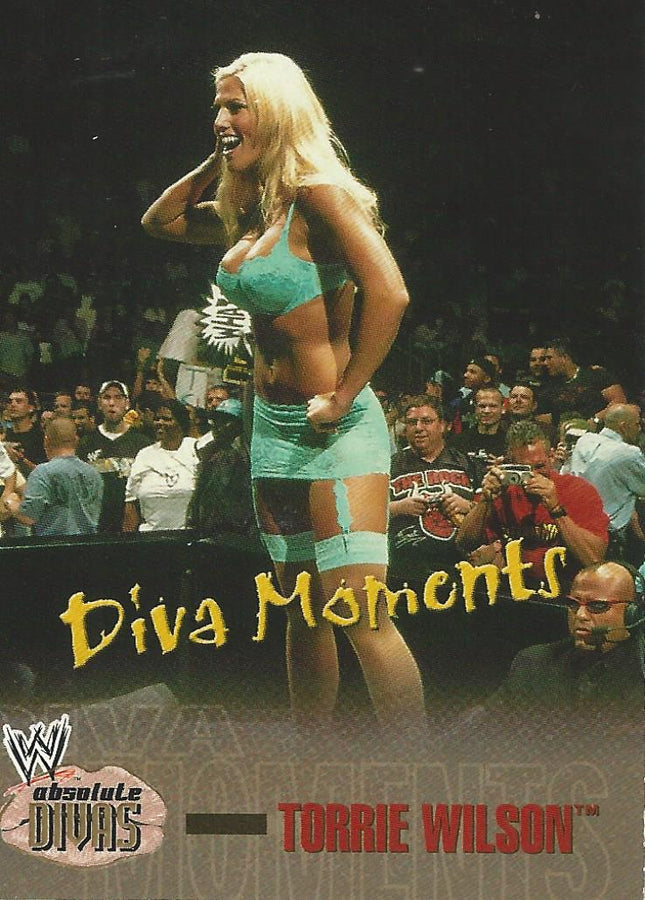 WWE Fleer Absolute Divas 2002 Torrie Wilson #71 Bronze