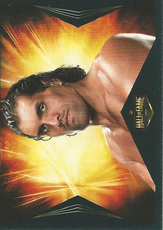 WWE Panini 2022 Sticker Collection The Great Khali #409