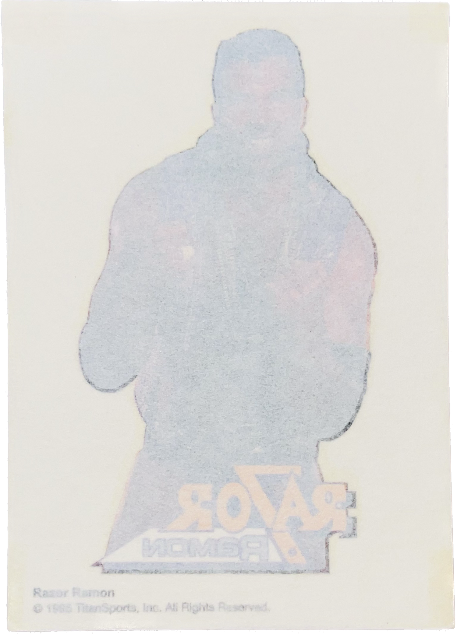 WWF Tattoos 1995 Razor Ramon from Germany Pwcatalog