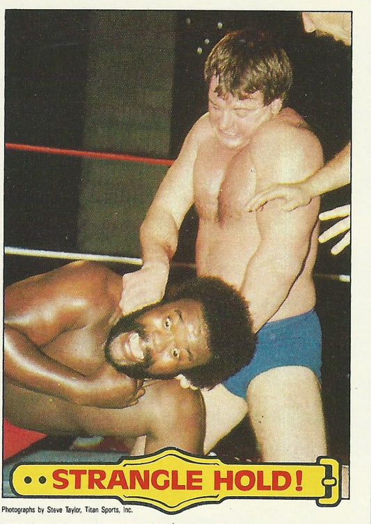 WWF Topps Wrestling Cards 1985 Roddy Piper No.40 PWcatalog