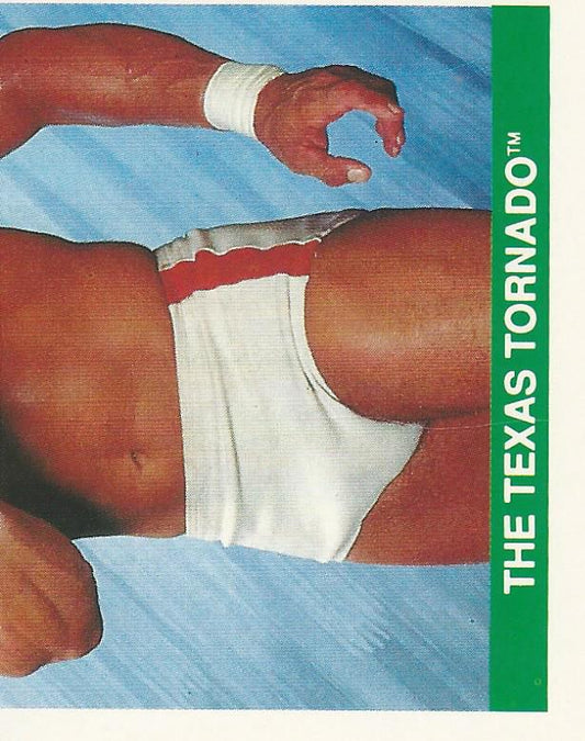 WWF Merlin Sticker Collection 1990 Texas Tornado #40