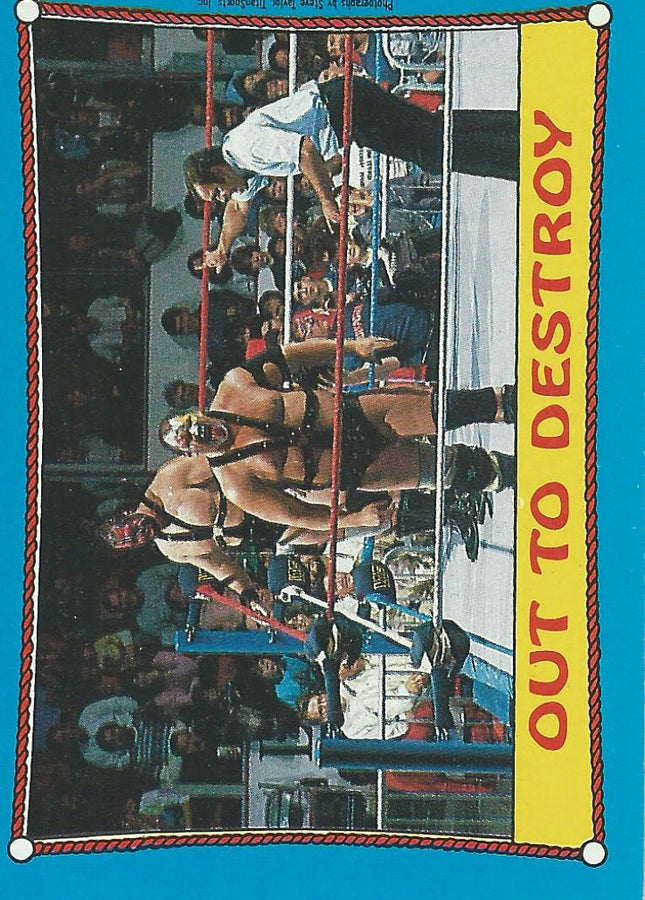 Topps WWF Wrestling Cards1987 Demolition #40