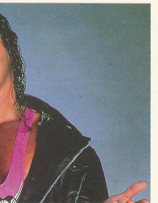 WWF Merlin Stickers 1992 Bret Hart #40