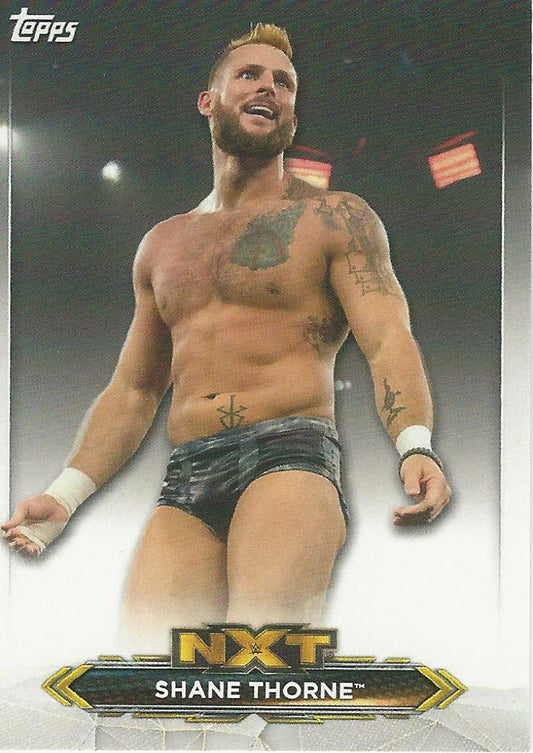 WWE Topps NXT 2020 Shane Thorne #40