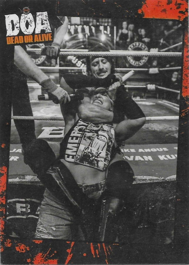 DOA Dead or Alive Ring Action trading card PW Catalog