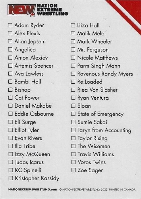Checklist trading card PW Catalog