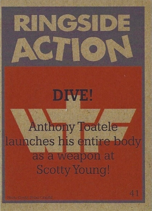 Ringside Action – Dive! trading card PW Catalog