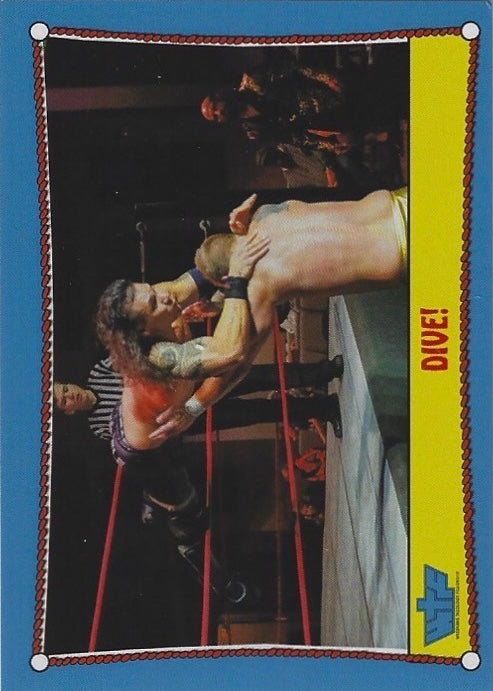 Ringside Action – Dive!