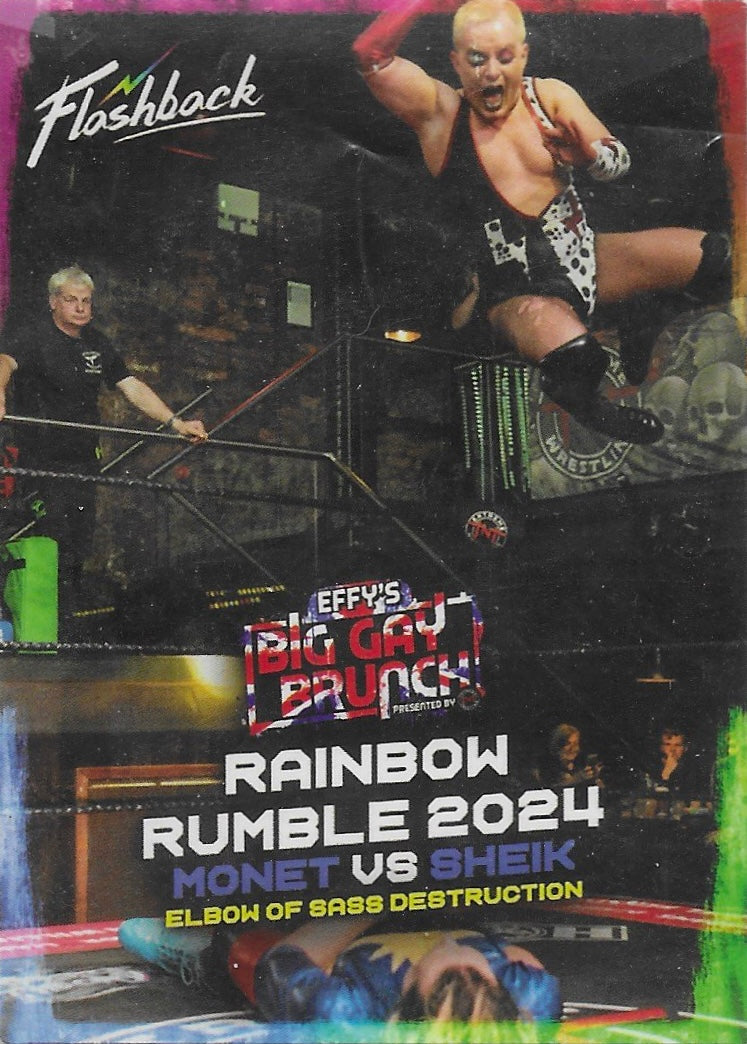 Rainbow Rumble 2024 – Monet vs. Sheik Elbow of Sass Destruction