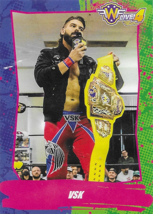 VSK trading card PW Catalog