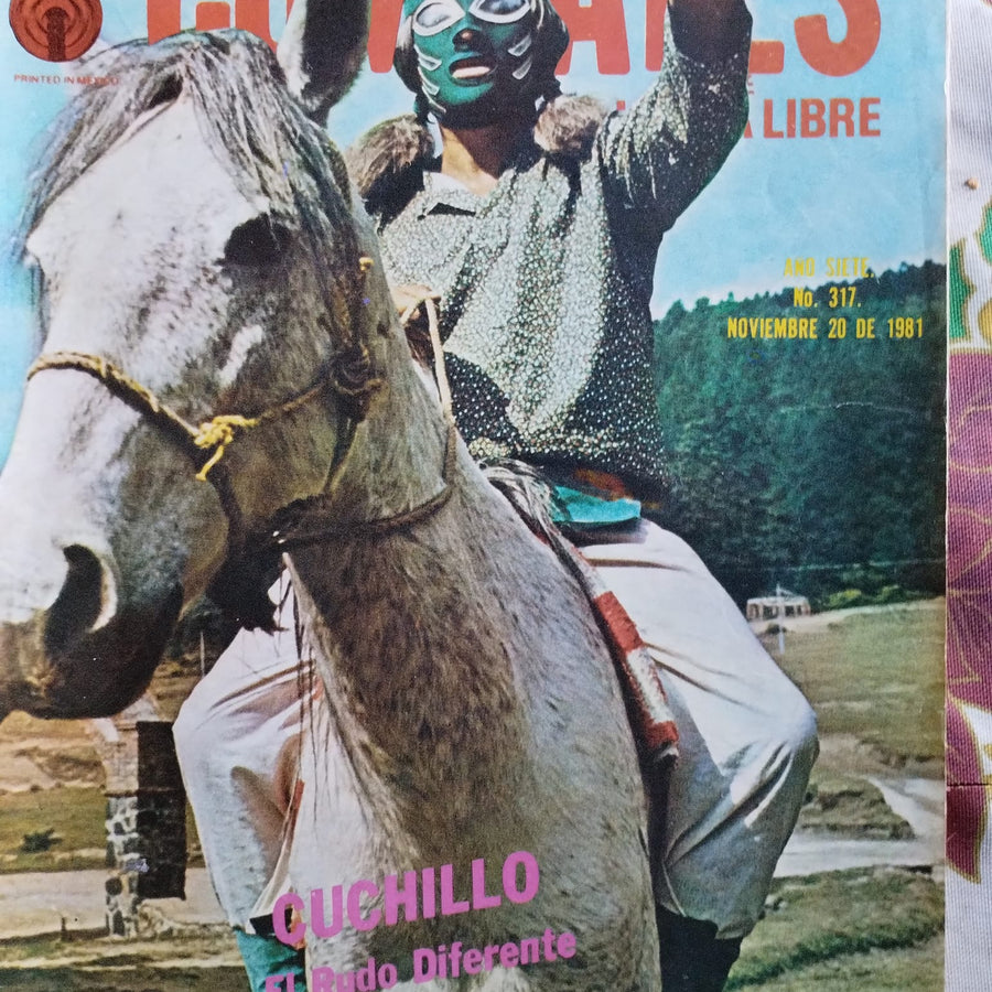 Combates de Lucha Libre 317 Magazine PWcatalog