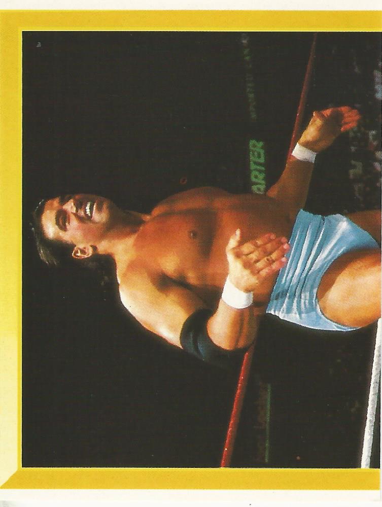 WWF Merlin Sticker 1994 Rick Martel #41