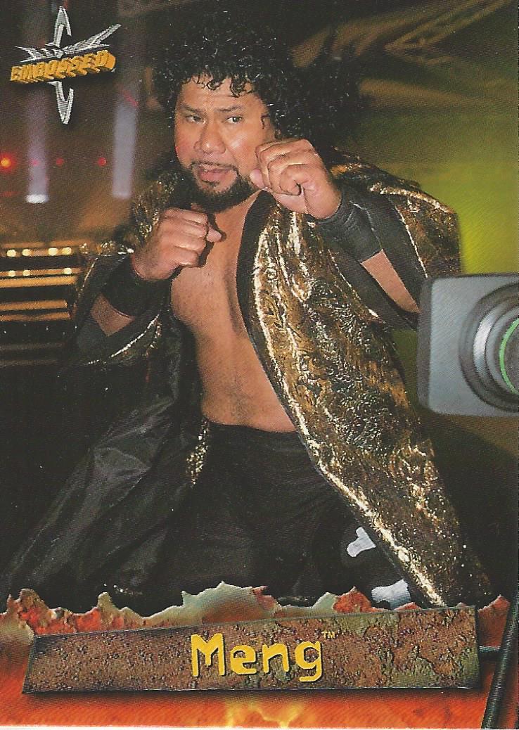 WCW Topps Embossed 1999 Meng #41