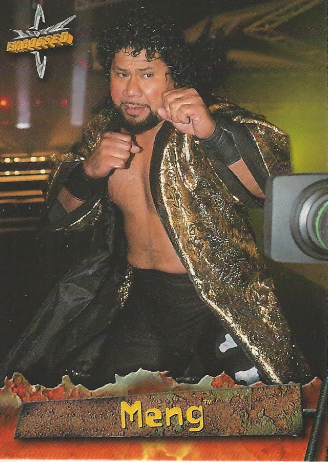 WCW Topps Embossed 1999 Meng #41