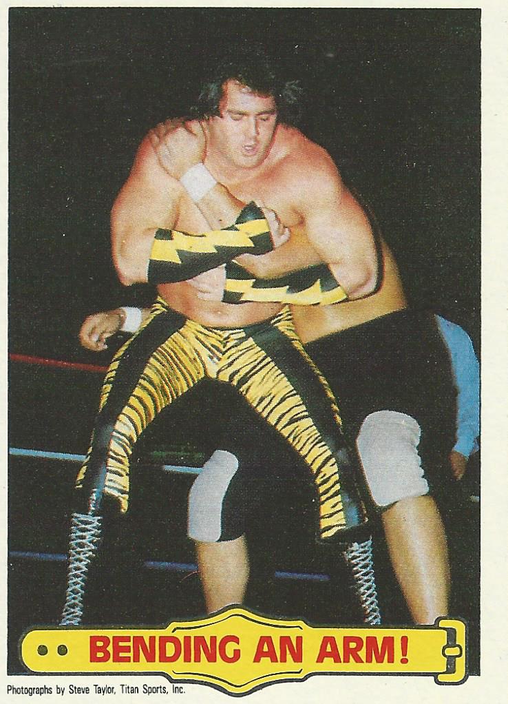 WWF Topps Wrestling Cards 1985 Brutus Beefcake No.41 PWcatalog