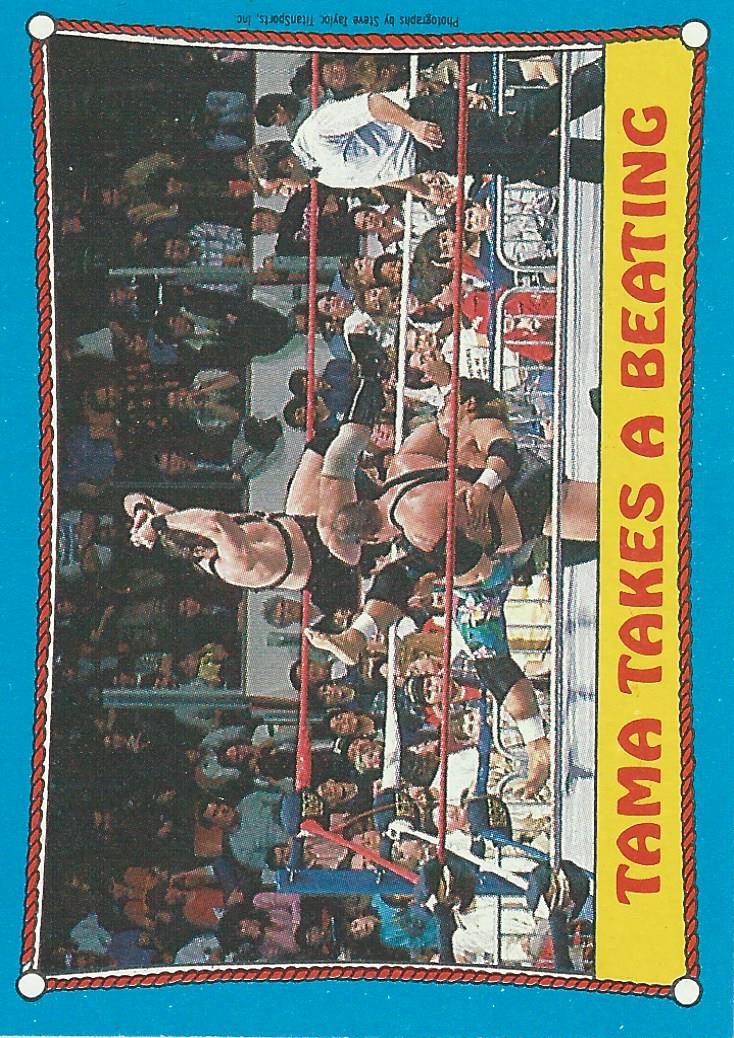 Topps WWF Wrestling Cards1987 Demolition #41