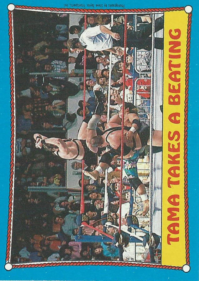 Topps WWF Wrestling Cards1987 Demolition #41