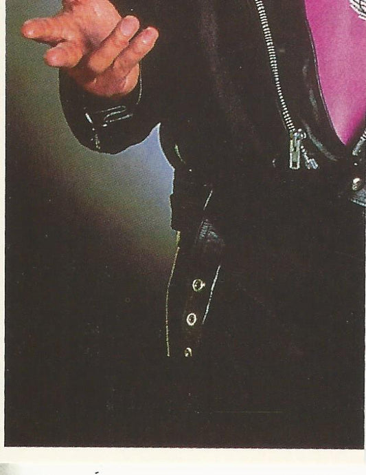 WWF Merlin Stickers 1992 Bret Hart #41