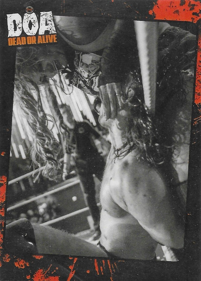 DOA Dead or Alive Ring Action trading card PW Catalog