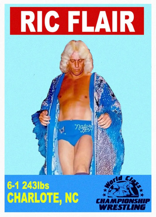 RIC Flair trading card PW Catalog