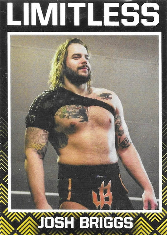 Josh Briggs