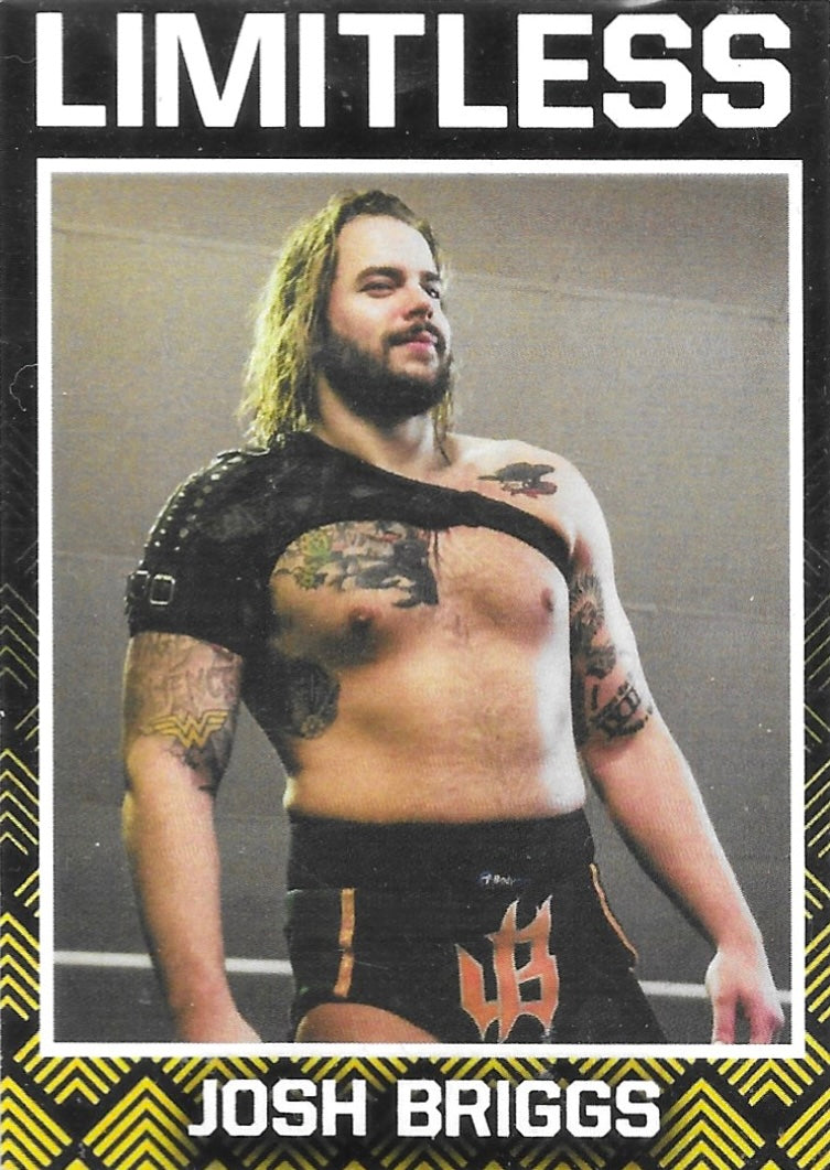 Josh Briggs