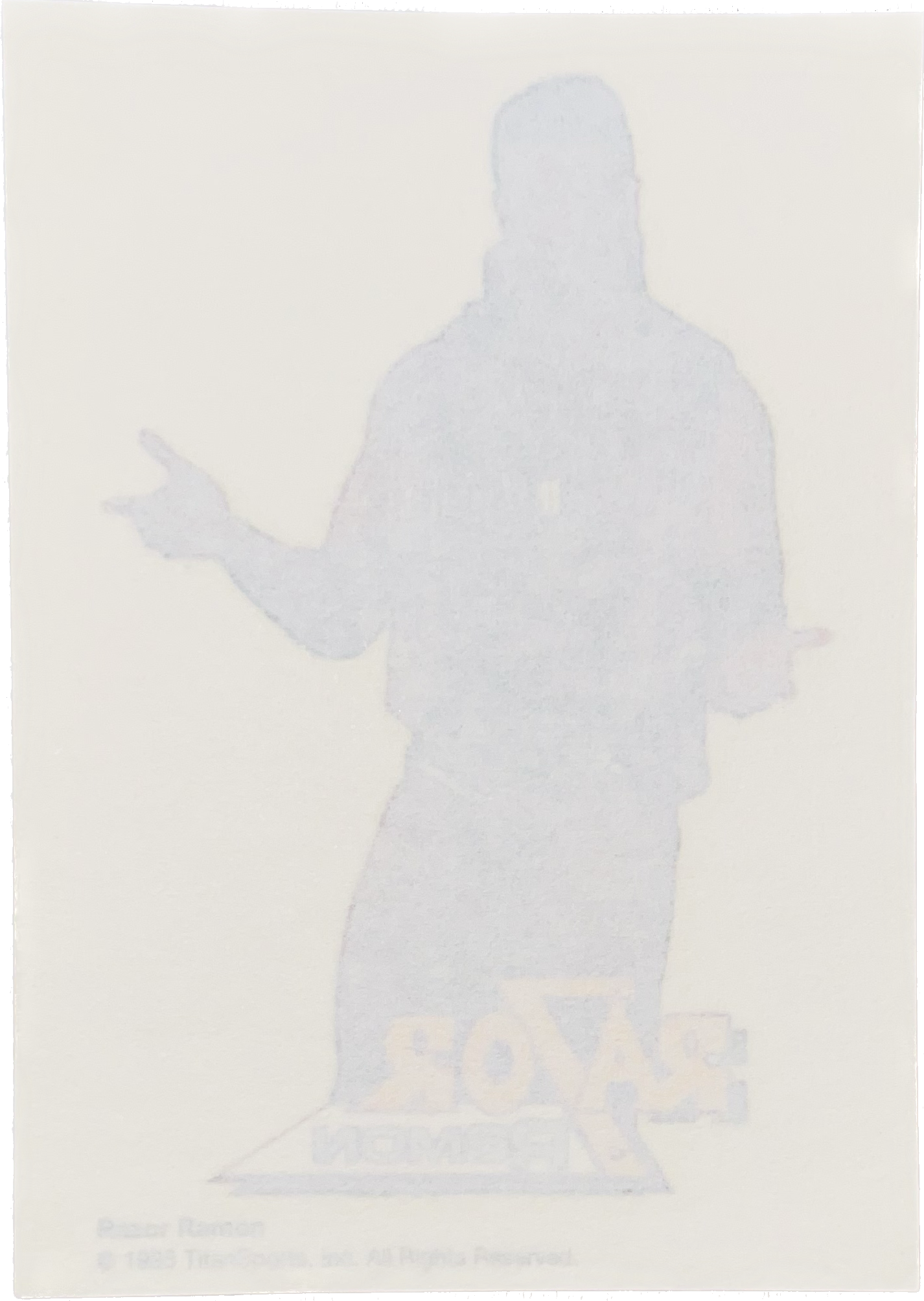 WWF Tattoos 1995 Razor Ramon from Germany Pwcatalog