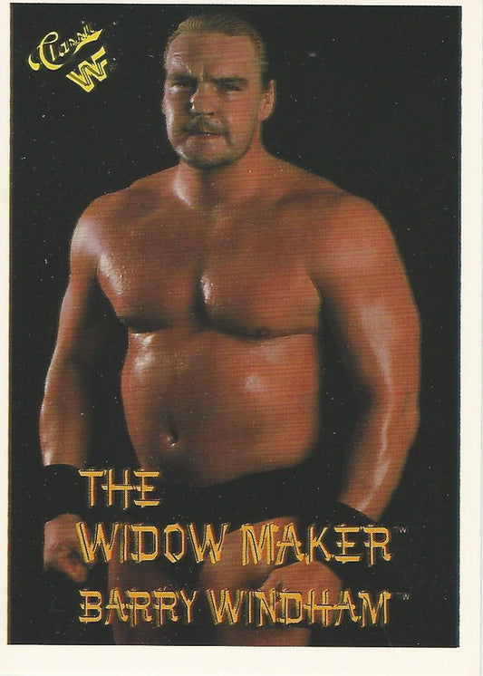 WWF Classic Trading Cards 1990 Barry Windham No.42 trading card PW Catalog