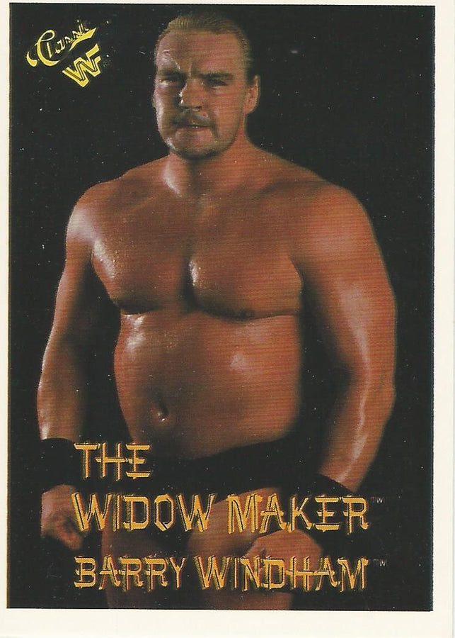 WWF Classic Trading Cards 1990 Barry Windham #42