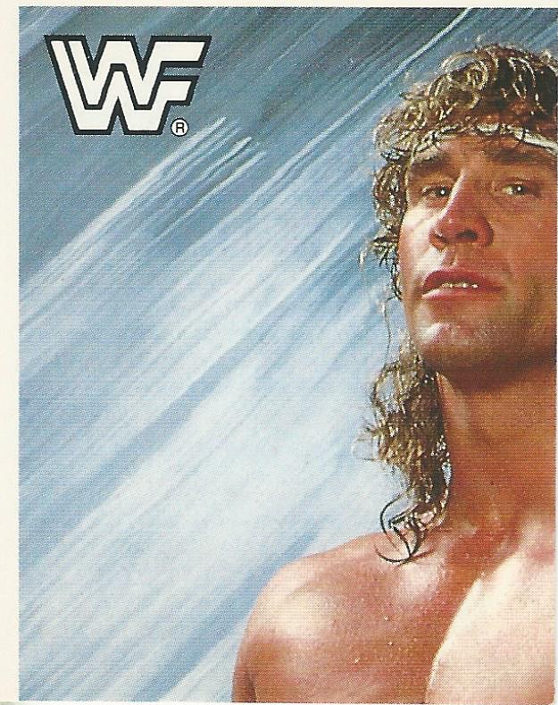 WWF Merlin Sticker Collection 1990 Texas Tornado #42