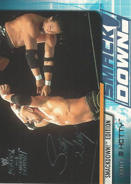 WWE Fleer Raw vs Smackdown 2002 Scotty 2 Hotty #42