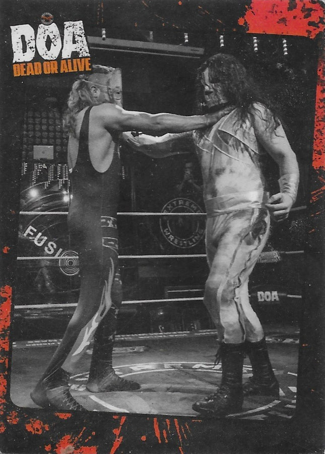 DOA Dead or Alive Ring Action trading card PW Catalog