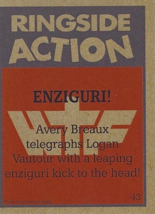 Ringside Action – Enziguri! trading card PW Catalog