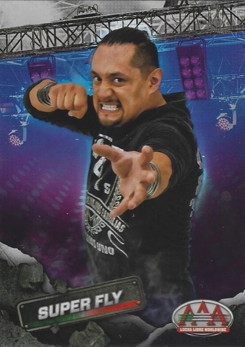 Super FLY trading card PW Catalog