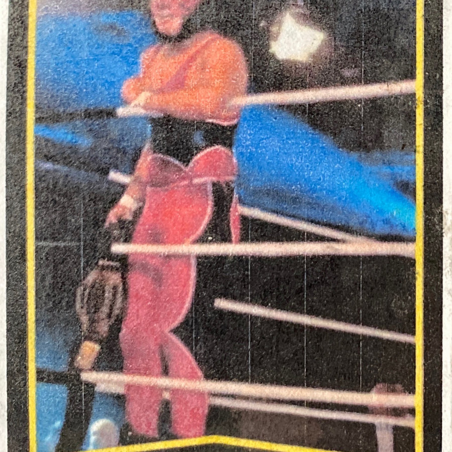 PJ Knight