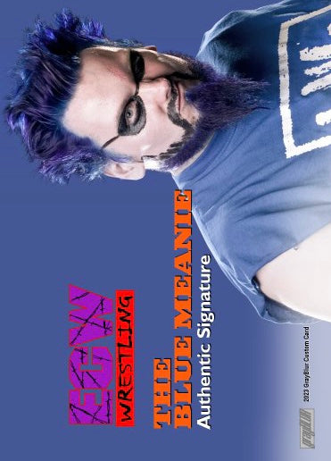 The Blue Meanie – ECW Wrestling