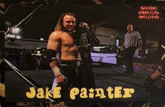 Jake Painter
