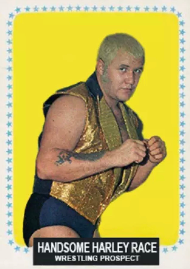Handsome Harley Race trading card PW Catalog