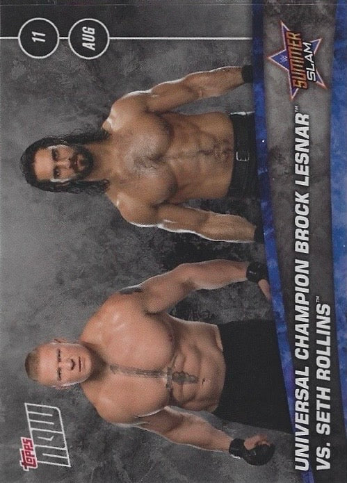 Universal Champion Brock Lesnar vs. Seth Rollins