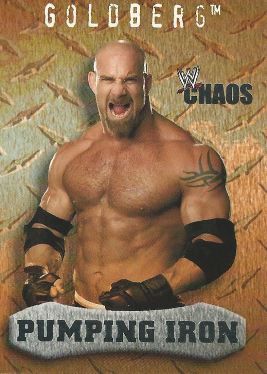 WWE Fleer Chaos 2004 Goldberg #95
