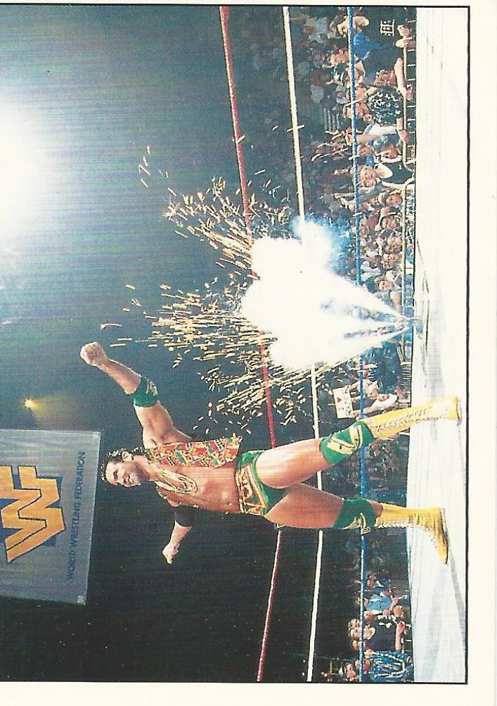 WWF Panini 1995 Sticker Collection Razor Ramon #43